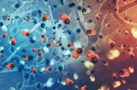 Les cellules CAR-T pourraient soigner les cancers du sang 