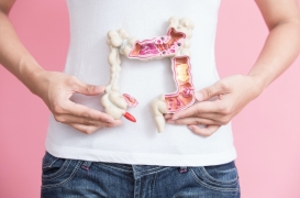 Il est possible de suivre la propagation des cellules cancéreuses dans le côlon 