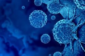 Nous portons tous des mutations cancéreuses dans nos cellules !