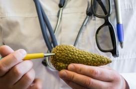 Cancer du pancréas : la solution recherchée chez les 
