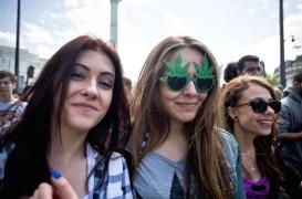 Cannabis : cinq millions de Français ont fumé dans l'année