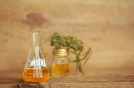 Cannabidiol et cannabis : il faut clarifier la loi pour lutter contre les coffee shops, d’après Agnès Buzyn