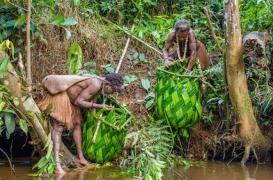 Cannibalisme : un corps humain ne fournirait pas plus de 125 000 calories