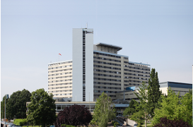 Amputée des quatre membres : le récit de Priscilla Dray 