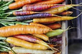 Lutte contre la pollution : le ministre de la Santé indien préconise de manger des carottes  