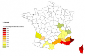 Moustique tigre : 486 cas suspects de dengue et de chikungunya en métropole