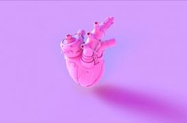 Des dépôts de minéraux spécifiques dans les valves aortiques des femmes 