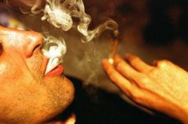 Plan addictions : le cannabis sous surveillance