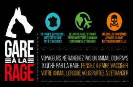 Rage : l'appel à la vigilance des autorités