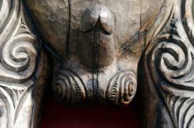 Longueur, circonférence : l'étude aux 15 000 pénis