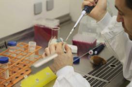 Leucémie : un bébé en rémission grâce à une thérapie cellulaire