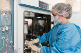 Infarctus : des cellules souches sanguines pour réparer le coeur