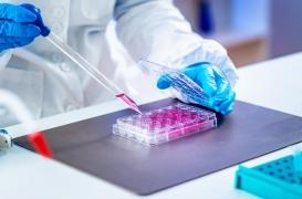 Un composé d'origine végétale pour une thérapie génique plus efficace et moins coûteuse