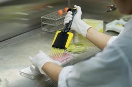 Incontinence anale : l'espoir de la thérapie cellulaire 