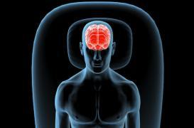 Cerveau : des chercheurs expliquent comment les souvenirs se forment