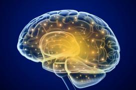 Comment naît l'attachement amoureux