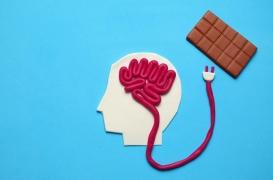 Pourquoi la faim semble donner meilleur goût aux aliments 