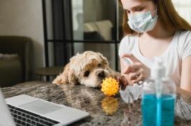 Les animaux de compagnie, meilleurs amis du confinement