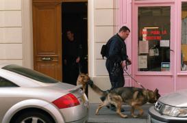 La fiabilité des chiens renifleurs reconnue par les experts