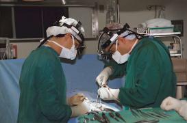 Toucher pelvien : l'Ordre des médecins condamne des pratiques inacceptables