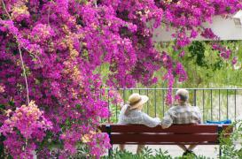 Seniors : 70 % restent à domicile après 85 ans