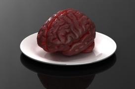 Obésité : deux groupes de neurones agissent sur la faim