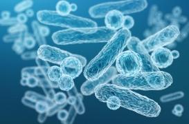 Des Japonais ont percé les secrets de l'antibiorésistance 