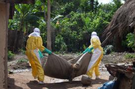 Virus : une coalition pour anticiper les futures épidémies