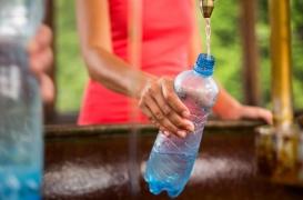 Perturbateurs endocriniens : l’effet cocktail est délétère