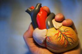 Infarctus : un test sanguin confirme le diagnostic en 1 heure