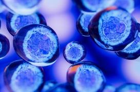 Pourquoi réagissons-nous différemment aux médicaments ?