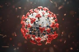 Covid-19 : le variant britannique présent en Ile de France mais hors de cause à Rennes