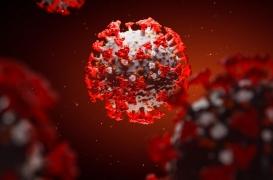 On a découvert l’arme secrète de la Covid-19 pour pénétrer dans nos cellules