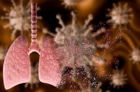 Des chercheurs identifient un nouveau type de cellules immunitaires 