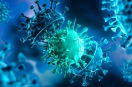 Variant Omicron : les propos rassurants de l’agence Européenne du médicament