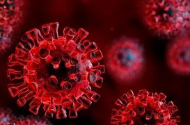 En Grande Bretagne, la Covid-19 a bien tué davantage depuis l'automne 2020