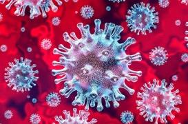 Pourquoi perd-on le goût avec la Covid-19?