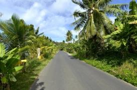 Coronavirus : des premiers cas en outre-mer