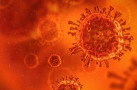 Covid-19 : un régime riche en fibres pour lutter contre l’inflammation ?