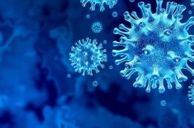 Comment les variants du coronavirus créent des 