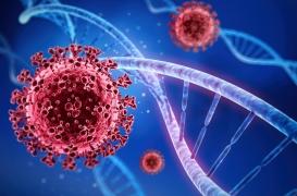 Covid - 19 : quels sont les 17 symptômes les plus courants associés à BA.2 ?