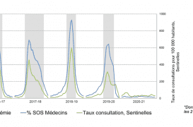 Année blanche pour la grippe : est-ce vraiment une bonne nouvelle ?