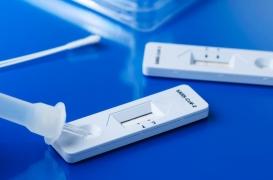  Covid-19 : le mystère des personnes jamais infectées par le virus