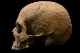 Le paludisme aurait contribué à la chute de l'Empire romain 