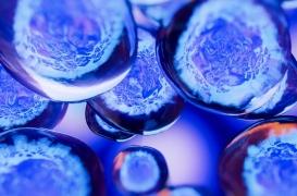 Embryon : des découvertes prometteuses contres les fausses couches et l'infertilité 