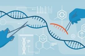Les ciseaux génétiques seront capables de soigner des cancers