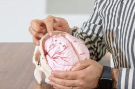 Épilepsie : de minuscules robots injectables pour prévenir les crises ?