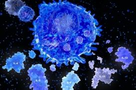 Covid-19 : qu'est-ce que “l’orage de cytokines”, ce phénomène qui entrainerait le décès de certains patients ? 