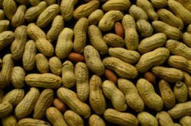 Maladies cardiovasculaires : noix et cacahuètes diminuent les risques