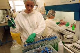 Creutzfeldt-Jakob: 1 Britannique sur 2000 porteur de la maladie